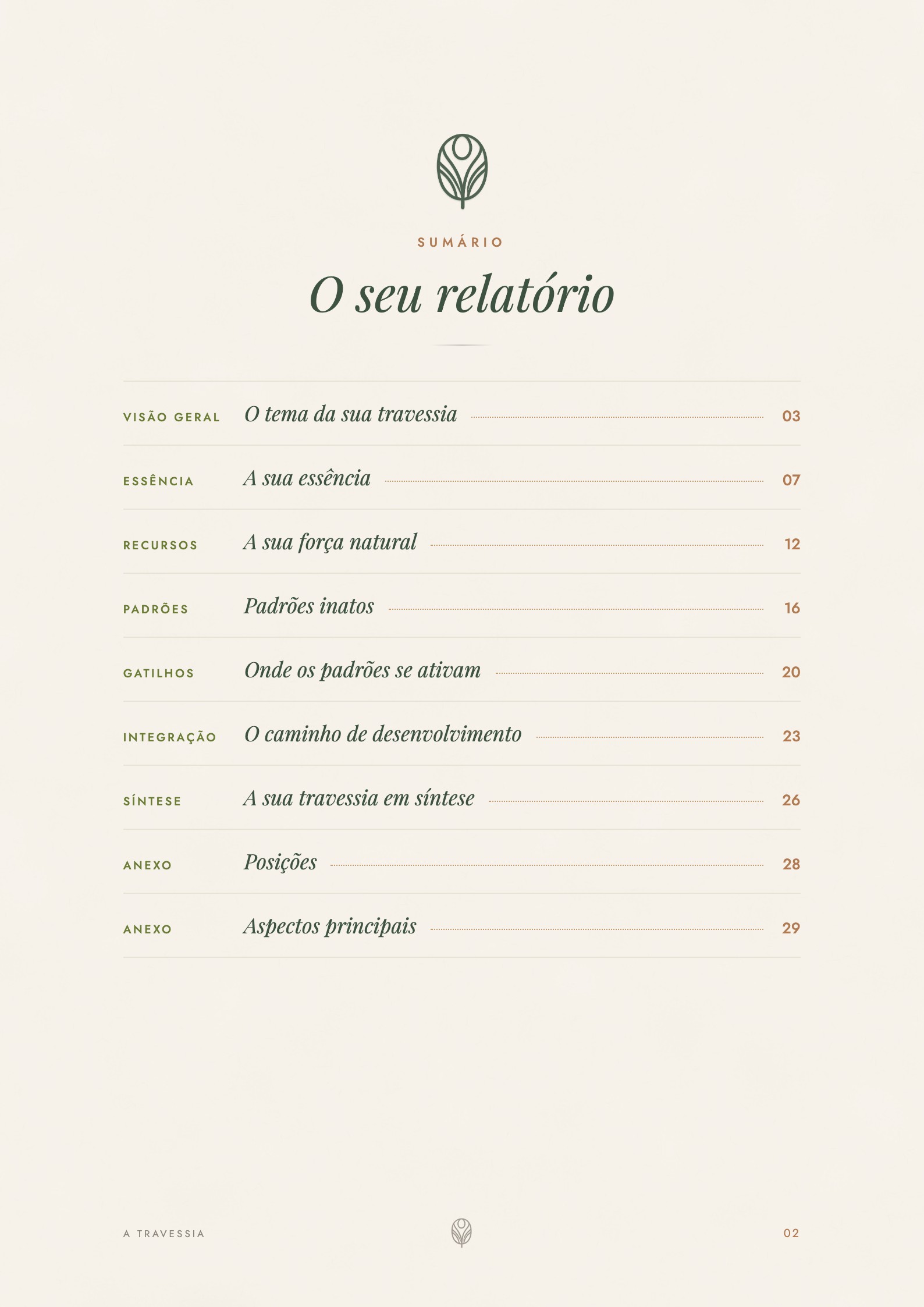 Página de análise personalizada do relatório